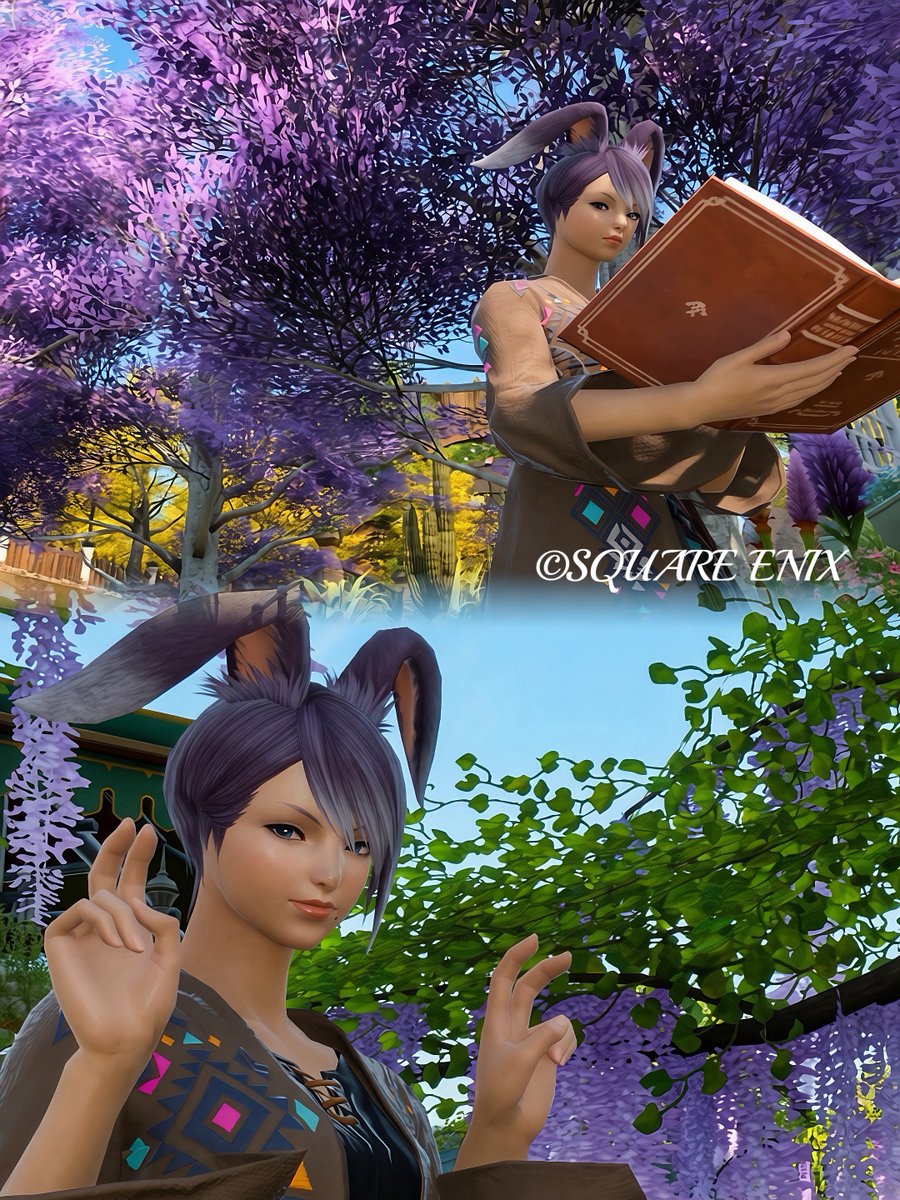 Phony_FF14's tweet photo. #ゼロムス並木道

どこも綺麗な並木道でした〜
最後は髪型変えてお邪魔してきました〜

紫と黄色の風景も綺麗ですね〜

悲しいのはカップル多い中…一人で回ってることくらい😢

#ヴィエラ #FF14SS https://t.co/88YWc7YsKD