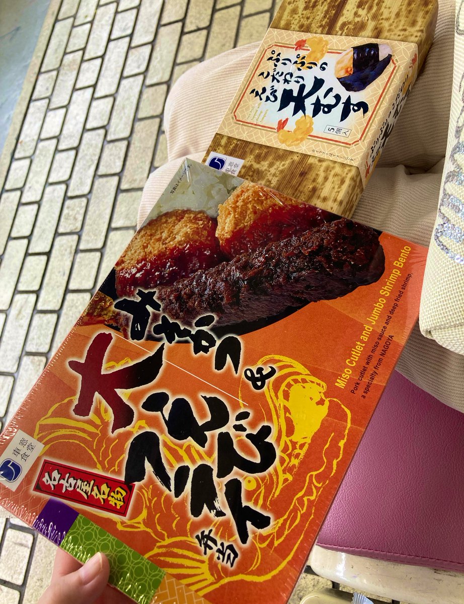 Alec_14_Route17's tweet photo. 人生初・大阪🐙新幹線🚄
行ってきます。 https://t.co/WDBB4xjMom