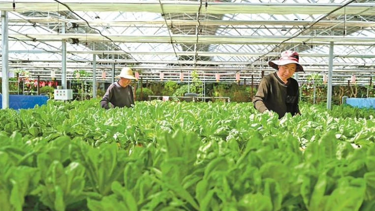 TibetNews11's tweet photo. #Frutta e #verdura delle Highlands: profumo esaltato dalla tecnologia https://t.co/ZUSqzJ7Y20