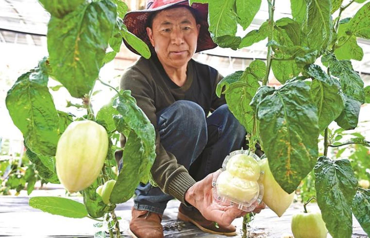 TibetNews11's tweet photo. #Frutta e #verdura delle Highlands: profumo esaltato dalla tecnologia https://t.co/ZUSqzJ7Y20