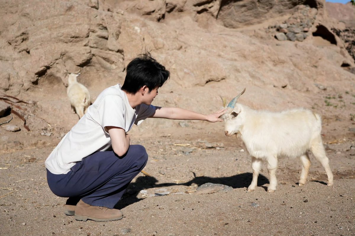 XiaoTianTH's tweet photo. 21/9/26 | TianJiarui Studio Update

💓การเต้นของหัวใจตอนปกติ :__/\__/\____
🐑 การเต้นของหัวใจตอนเจอแกะ:_/\_/\_/\_/\_
😍 การเต้นของหัวใจตอนเจอเถียนเจียรุ่ย:♡♡♡♡♡ 

#เถียนเจียรุ่ย #TianJiarui #田嘉瑞 https://t.co/FnMnm1Nepd