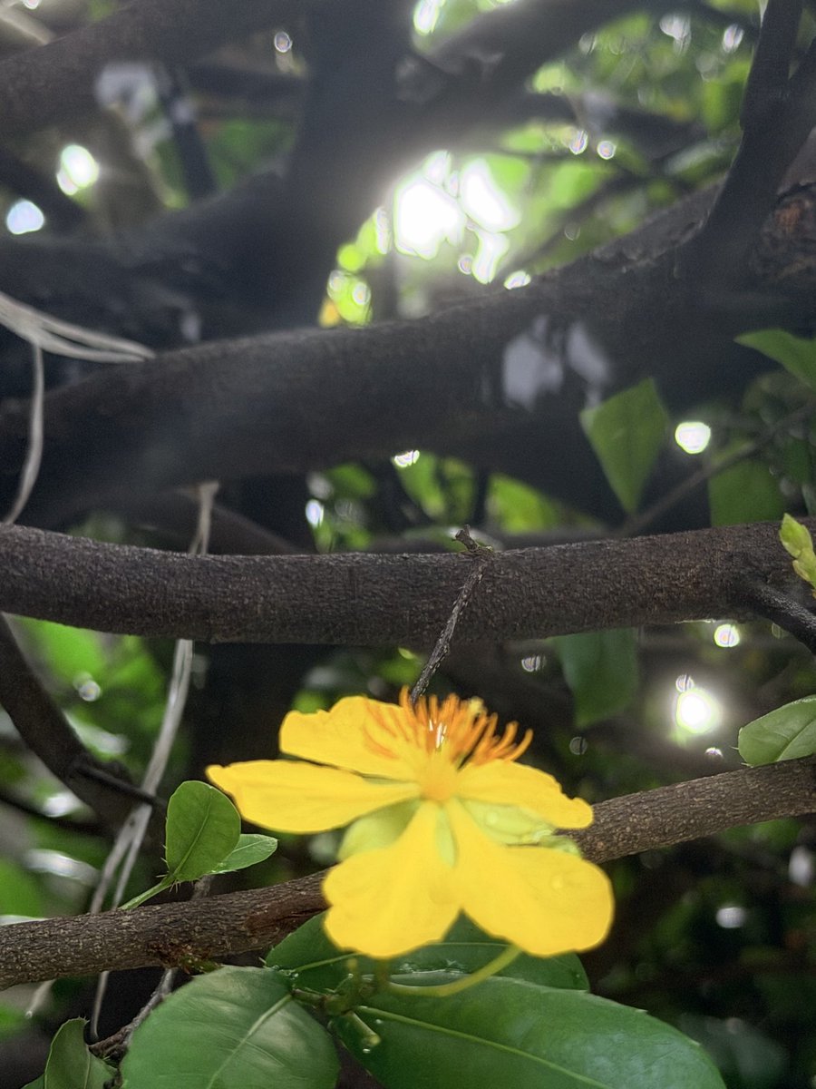 Tukata7's tweet photo. d d 😊🥰 https://t.co/5LDPrbc5nF