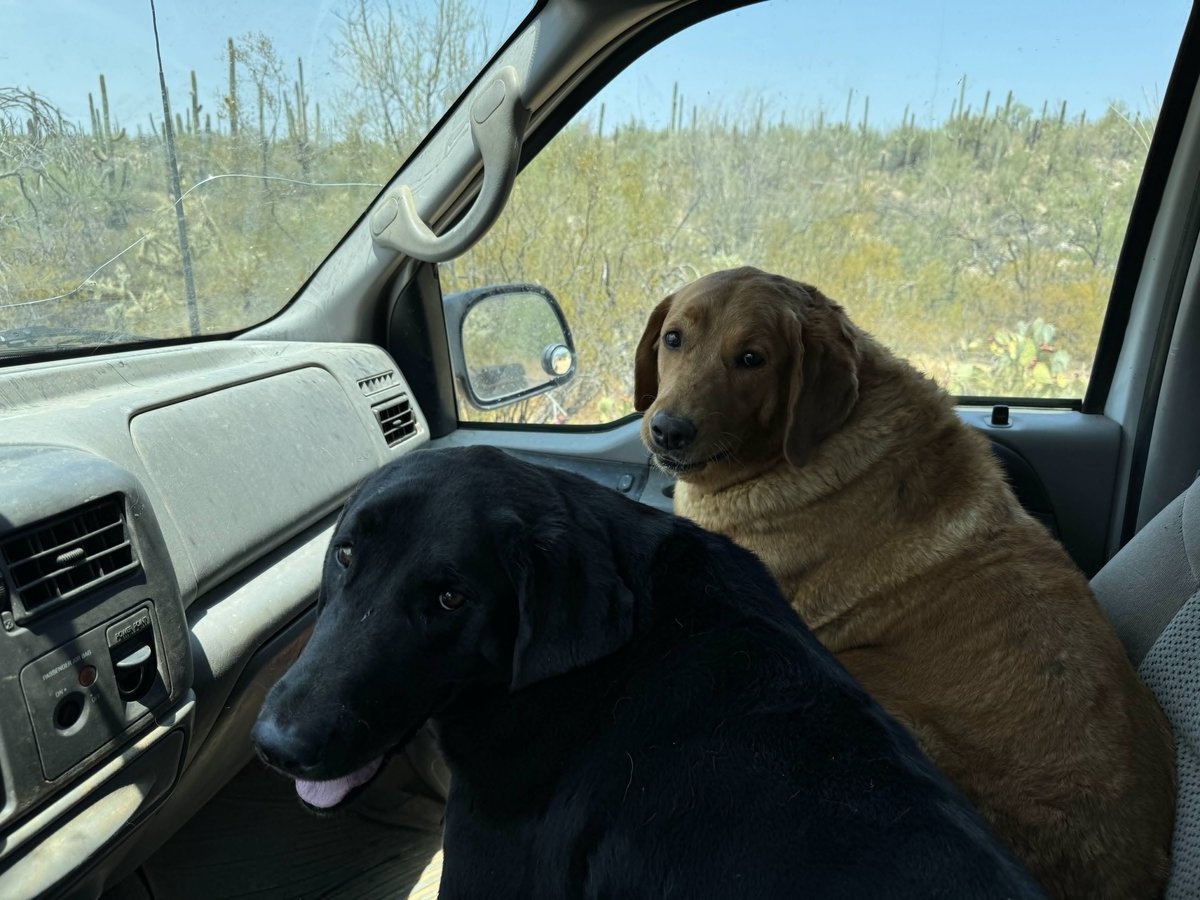 sjhdu0's tweet photo. Get in, losers! We're going to tell them what an American is https://t.co/iRwPMf22q2