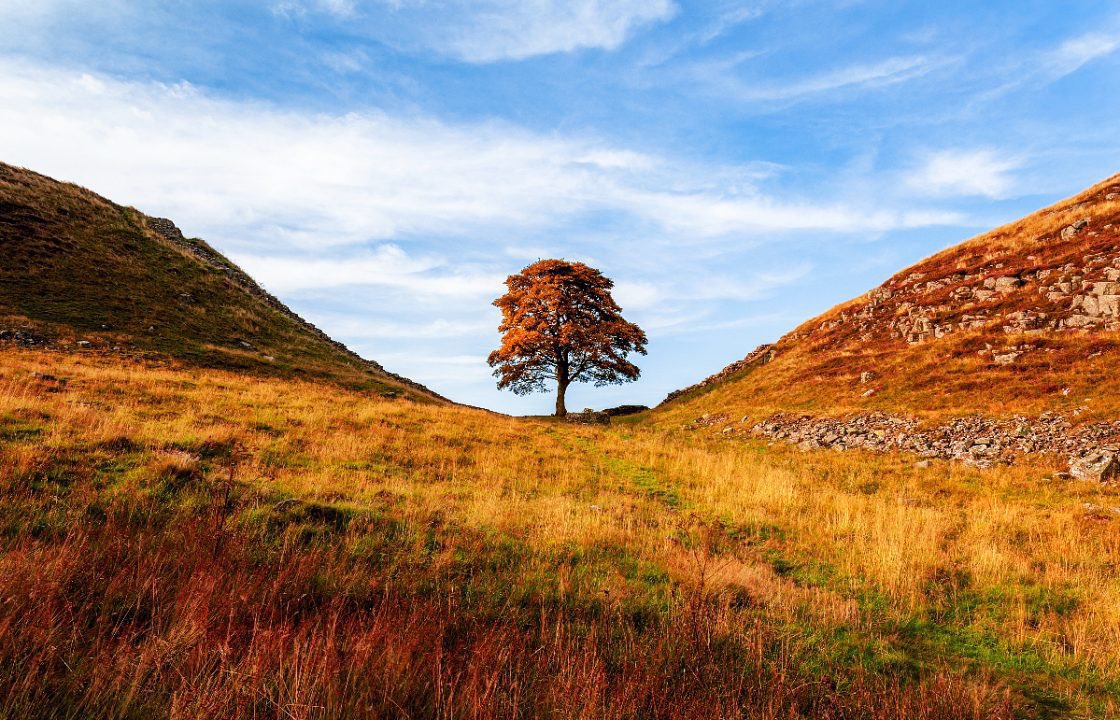 A_AMilne's tweet photo. “If you are alone, then nature becomes Nature, a person, someone to whom you can almost talk. You do not only walk through measured miles; you sit, dreaming, contemplating, absorbing it all, through unmeasured minutes.” ~C.R.Milne #peace https://t.co/XYnNQldZEl