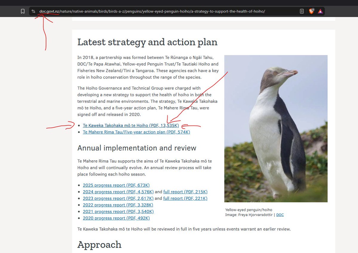 rogerdaryl's tweet photo. @AgoraSignal @the_salty_one_ https://t.co/gHAxrXCltz

Page 10 of this document on the DOC website. https://t.co/8N40q7tYKI