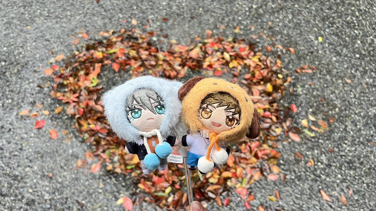 palinyi's tweet photo. 大雨ですね😿 https://t.co/cW4CXpmzbS