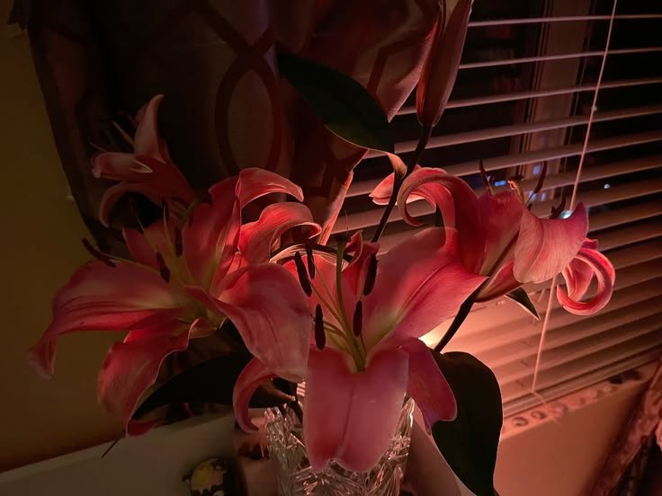 bloomifyyy's tweet photo. https://t.co/aFv7HxFZih