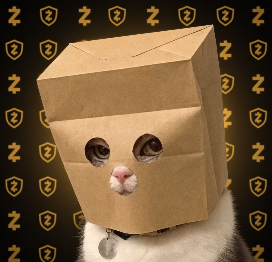 CryptoCurb's tweet photo. solana:HcRLc9VDgjLeK154xDawfb1dmVJ98DoSqcwTHGqiDeJR - top meme paired with top asset of the cycle in zcash:native 

you reach 4 pillars - top ZEC pair, top Solana meme, top Stonk eco play, top Meme play

put the bag on / meme the bag on everything for 2 years straight, vibe, while you get encrypted private bitcoin dripped into your wallet in ZEC

zillionz.