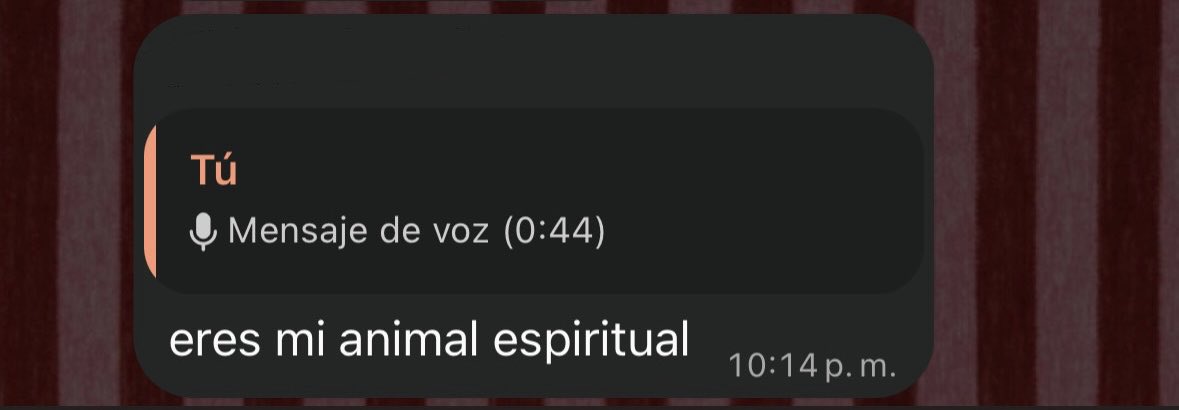 conssmontiel's tweet photo. Jajajajaja https://t.co/wILnRwp2jh