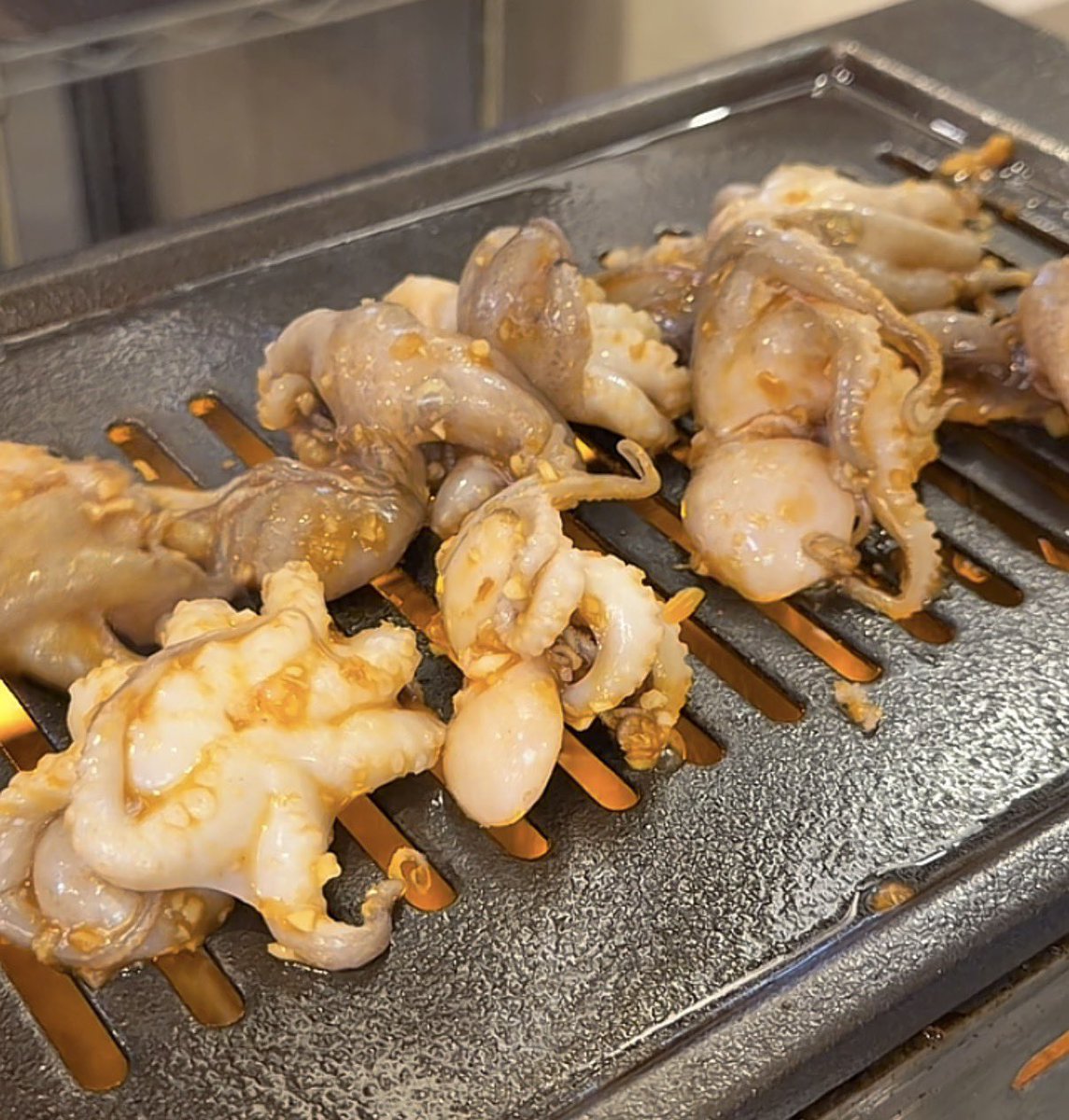 salty_gourmets's tweet photo. タコが新鮮すぎて生きたまま食べられる！

ミリネヤンコプチャン　赤羽 https://t.co/j7007ttni5