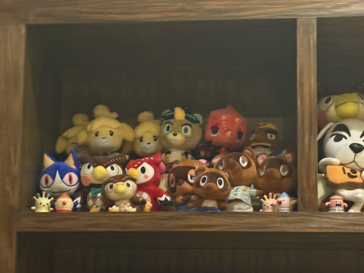 GabrielHorizons's tweet photo. Reorganized my Animal Crossing shelfs! https://t.co/1GfbVNk2GW