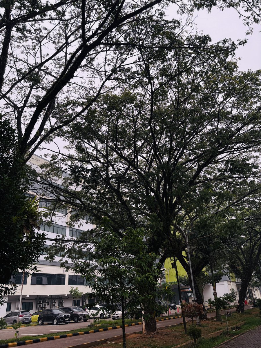 pinapplelmo's tweet photo. Semoga operasi embah lancar🥺🤍 https://t.co/tWyREFFReG