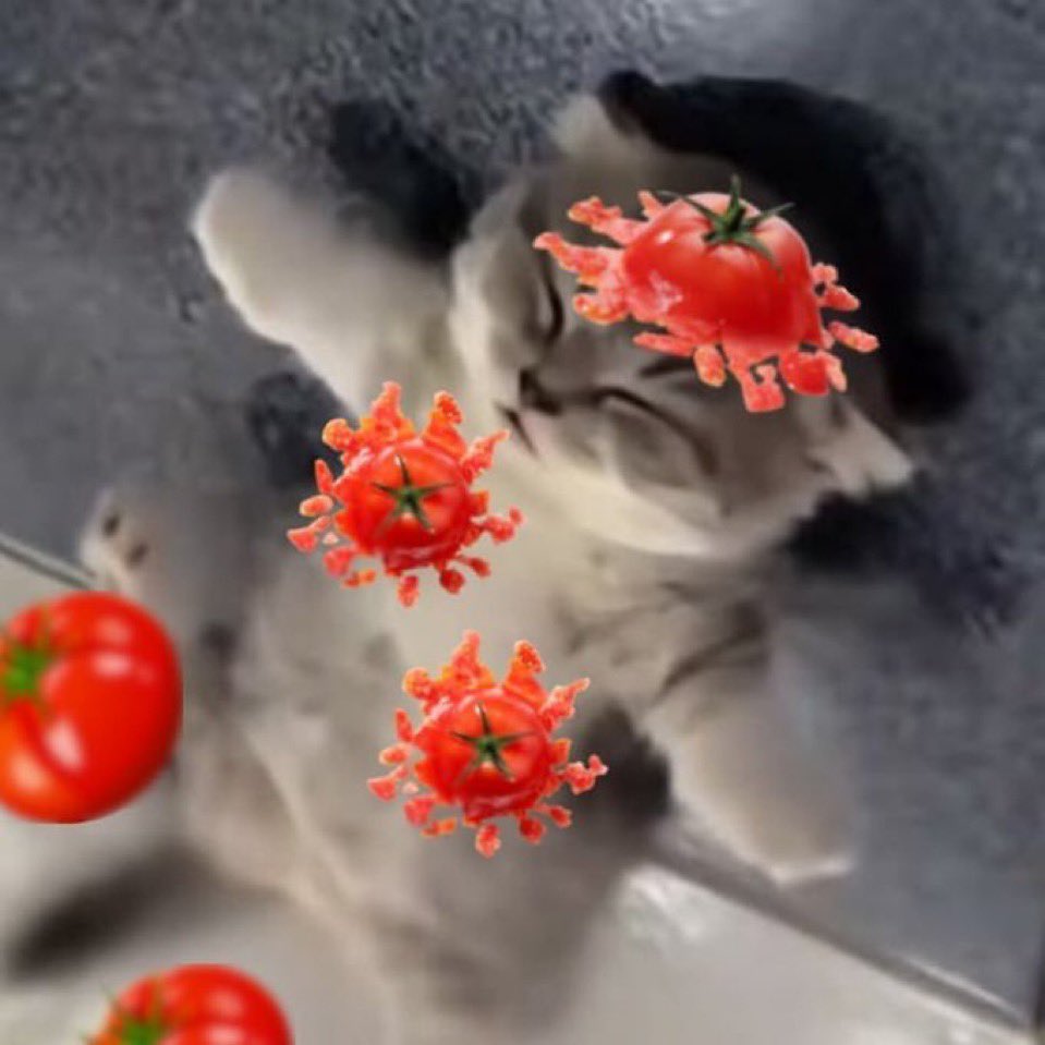 maionyourmind's tweet photo. @ririluvsmartin No me arrojarás tomates? 🍅 https://t.co/gV1V3eVw61