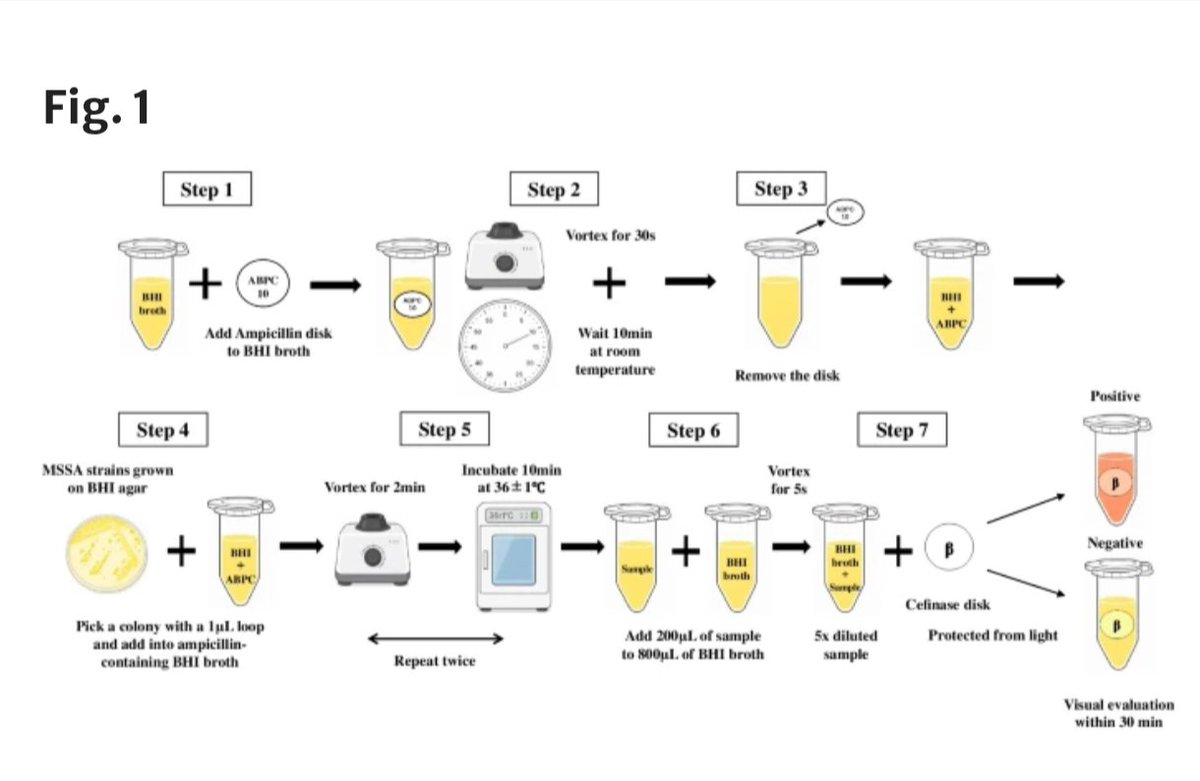 ABsteward's tweet photo. 🆕💥🟢 Development of a rapid diagnostic test for the cefazolin inoculum effect in methicillin-susceptible Staphylococcus aureus: Cefinase disk direct (CDD) test
The proposed CDD test demonstrated satisfactory diagnostic performance for the detection of blaZ type A-harboring MSSA isolates #idxposts
https://t.co/5WQJfGalsI