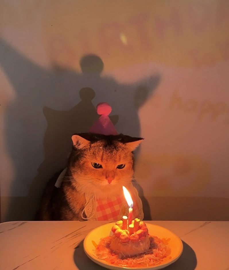 knpdaughter's tweet photo. it's my birthday 😼💞
(and @kyungdolly's) 🐥 https://t.co/0rykww2Ztm