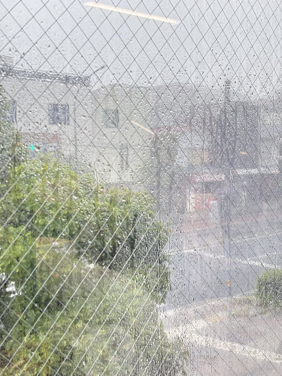 marroncup7's tweet photo. 外凄い
雨が窓曇るほど降ってる☔️ https://t.co/y3AiU4a5SI