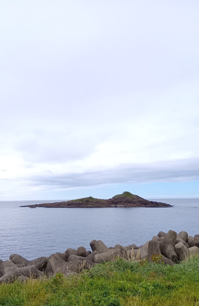 kannojou's tweet photo. 今日の八森は 雲が低くて ときどき霧雨が舞っている

雄島を眺めながら海岸沿い散歩🚶🏻……

横から見ると #ひょっこりひょうたん島 みたいだな…

♪丸い地球の水平線に…😀

#秋田県八峰町 #イマソラ https://t.co/jkEytskZWS