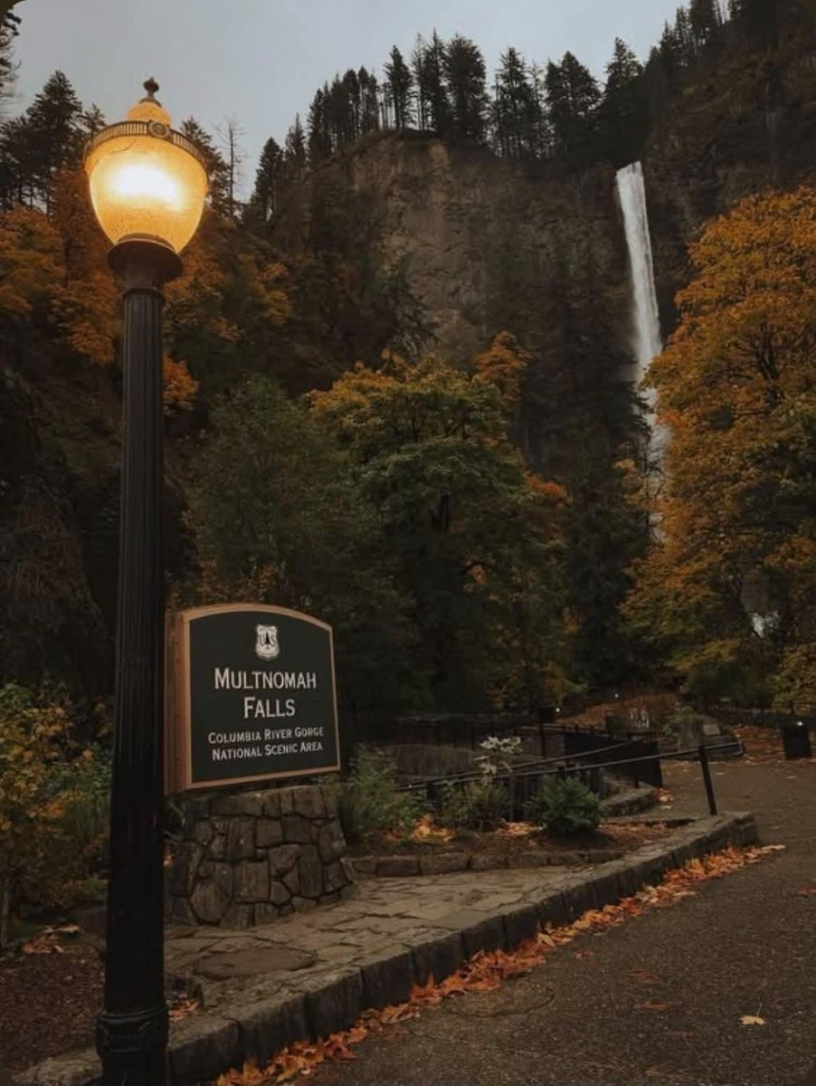 earthviewss1's tweet photo. Autumn days in Oregon, USA 🇺🇸 https://t.co/mWXnRjALV4