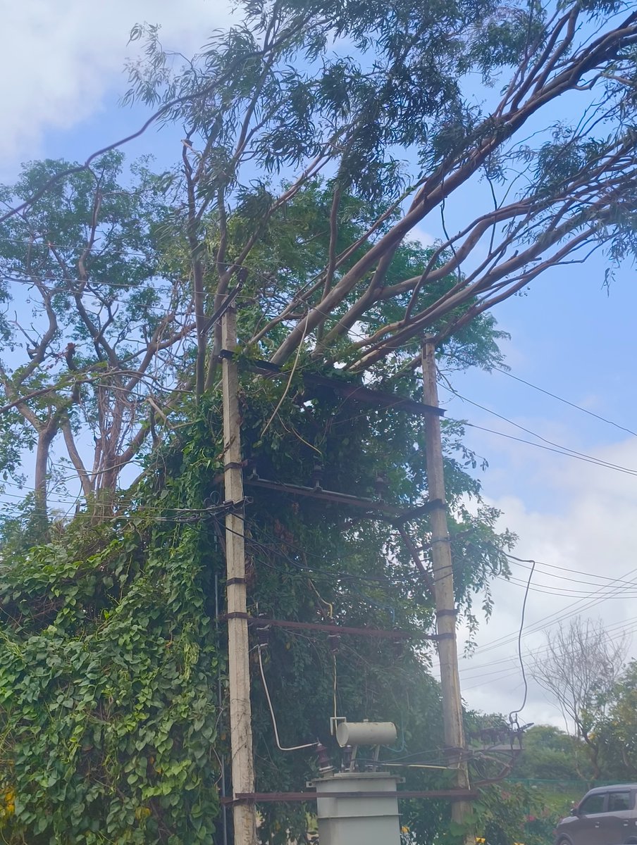 ssmasan219's tweet photo. @NammaBESCOM @CMofKarnataka  A tree has fallen onto/near the electrical lines and transformer in our area, causing a power outage. Please urgently send a team to clear the fallen tree, inspect the lines and restore electricity. Its emergency. #bengaluru#powerfailure https://t.co/RqGxq3LNtb