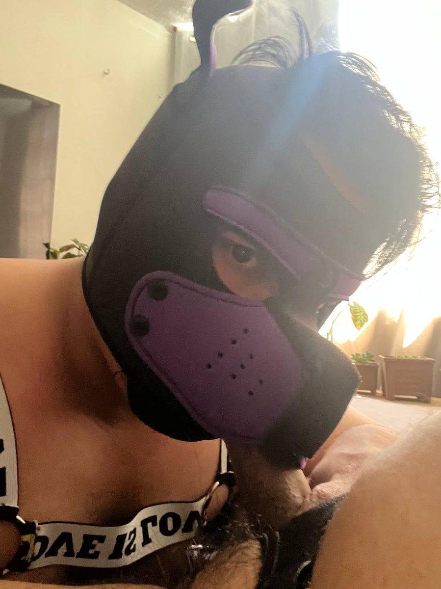 nyghtfang_'s tweet photo. Las fotos no le hacen justia a esta rika verga 🥵

#puppyboy
#puppyplay
#puppy
#puppygay https://t.co/lsRPXq91eY