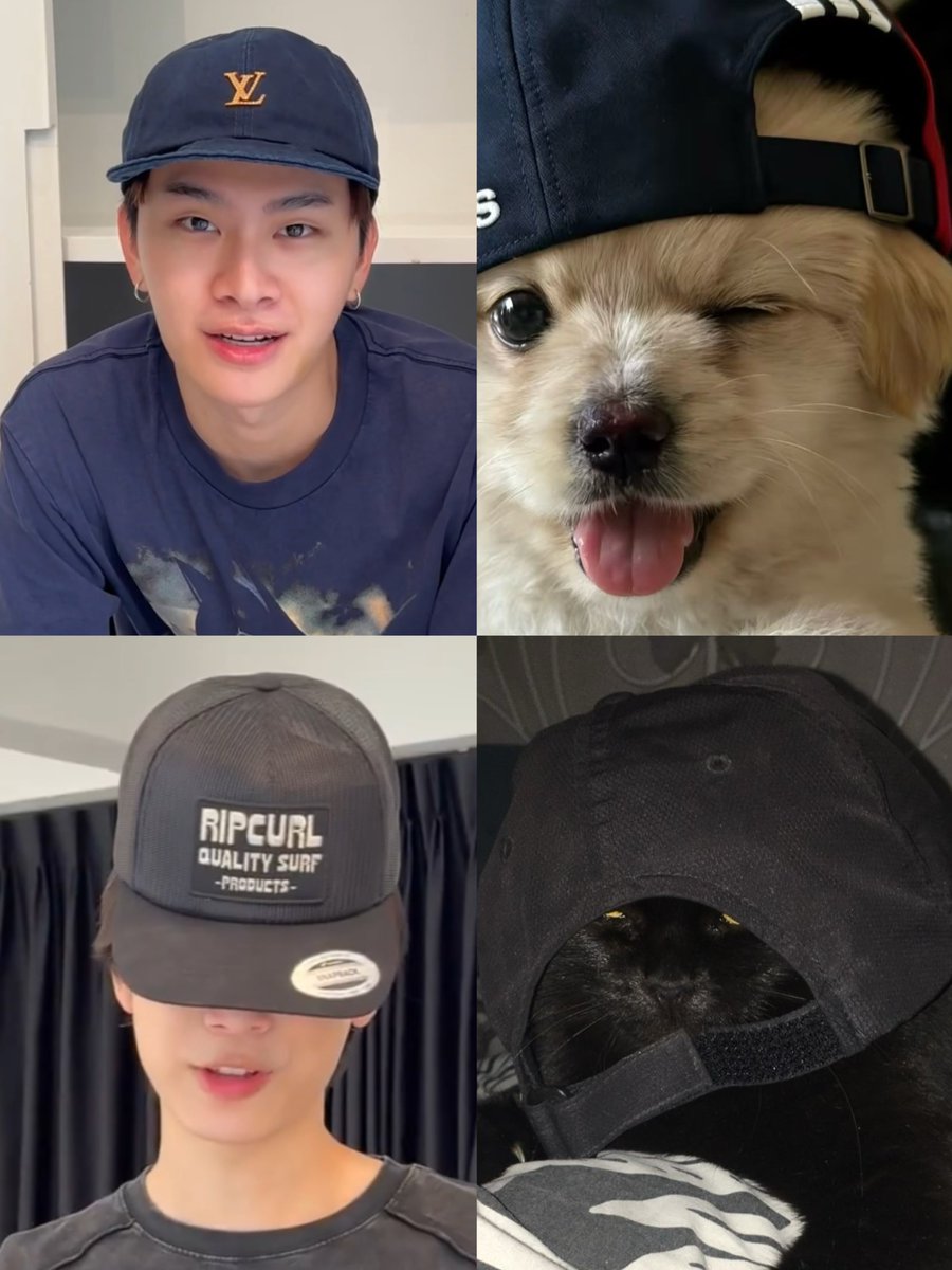 oldchubbygirl's tweet photo. 🐶🧢💘🐈‍⬛ 🧢 https://t.co/X8MeK49tes