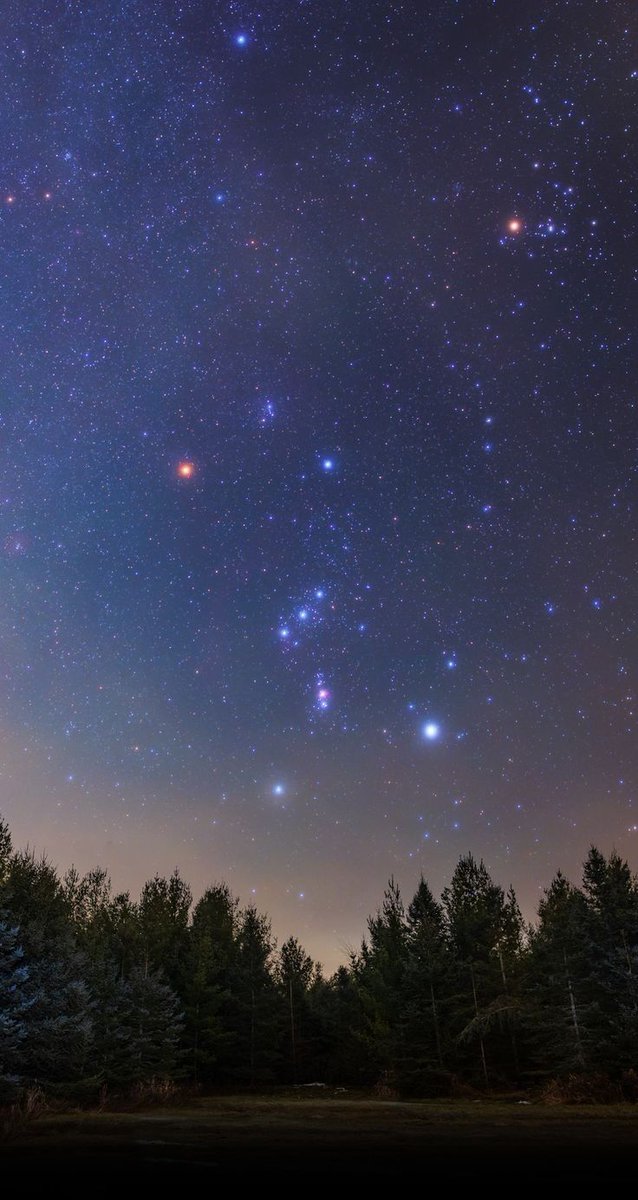 NightSkyToday's tweet photo. Beautiful Orion Constillation✨ https://t.co/9gwMoES1aM