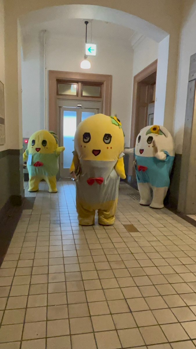 funassyi's tweet photo. こんなっしー♪ヾ(。゜▽゜)ノ https://t.co/iOryTD4sx8