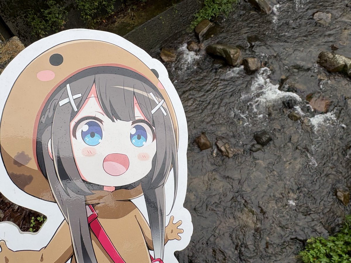 yubarasawa's tweet photo. なんと！オオサンショウオの卵が

流れてきてました。

雨も小雨程度で水は濁ってないんですが、

なんで流れてきたんだろう？

#湯原砂和　#湯原温泉　#オオサンショウオ　#在来種　#温泉むすめ https://t.co/hMVdCs8qy8
