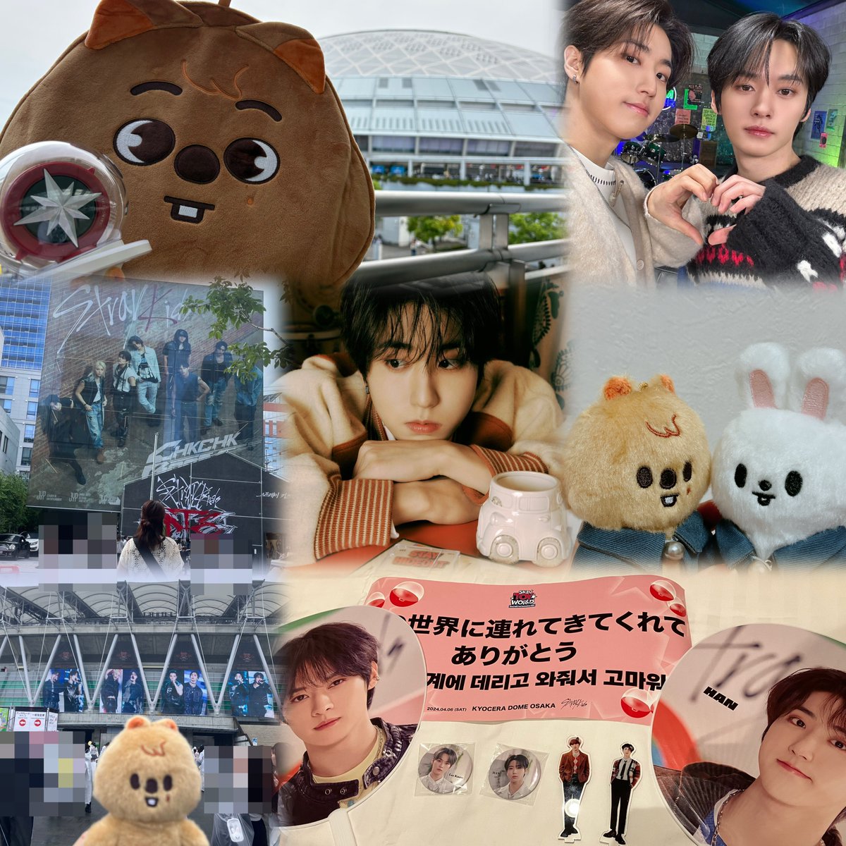 omochiiiy8's tweet photo. HAN🐿️ / LEE KNOW🐰
99 / 東海 / 同他◎

年齢や価値観が近い方と仲良くできたら嬉しいです！LIVEメインでマイペースに追っています🤍
#straykids好きな人と繋がりたい 
#大人STAYさんと繋がりたい https://t.co/snKQvc23bA