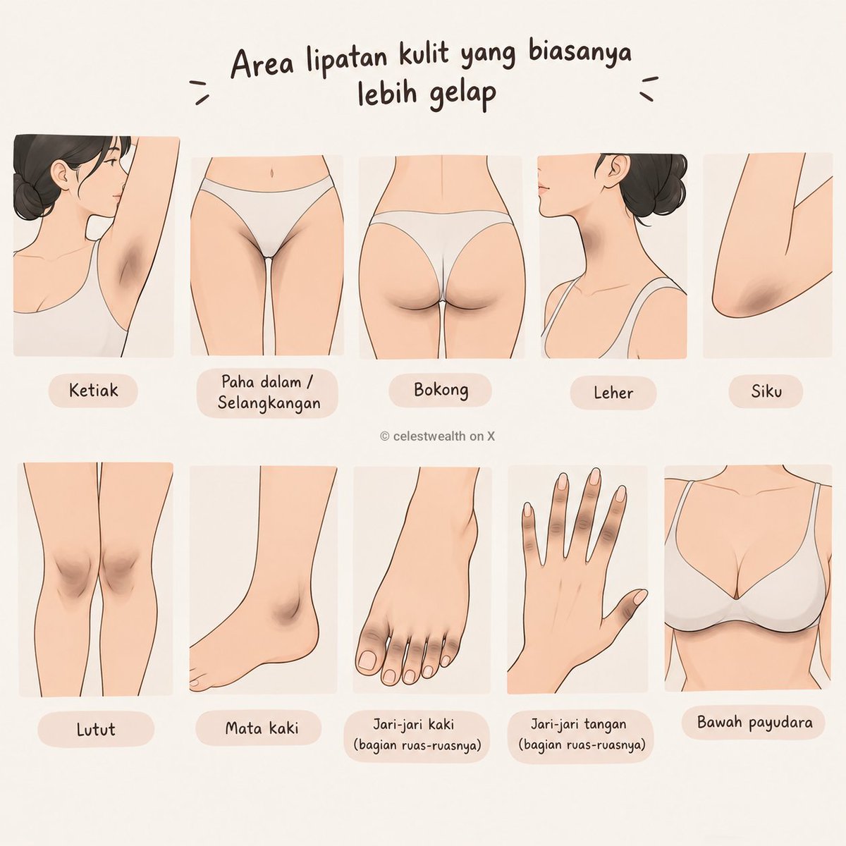 celestwealth's tweet photo. KENAPA BARU NEMU SEKARANG 😭‼️

buat yang punya masalah area lipatan gelap tapi males punya 10 produk berbeda, you NEED this product. https://t.co/Howu1CpyHc