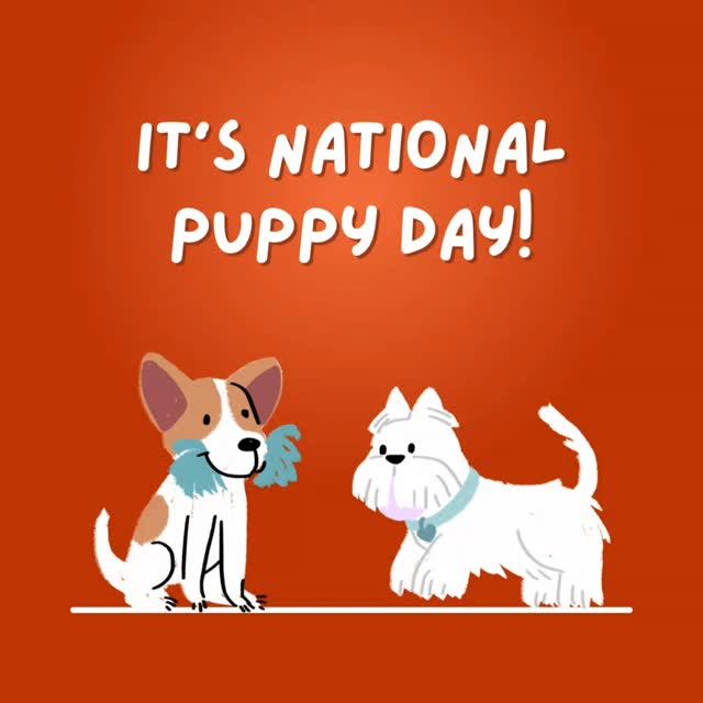 OsamaLiftin's tweet photo. World Puppy Day — March 23 https://t.co/lstU6NuQES