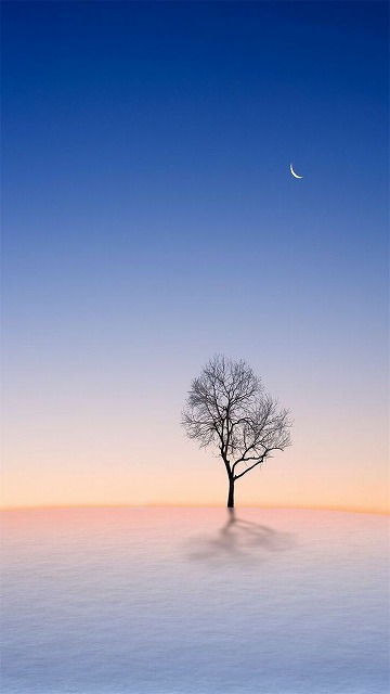 ziemnElizabethS's tweet photo. 今日もなんだか体が重い。連日の残業で疲労が蓄積してる気がする。気温も高くなってきて、最近は朝起きるのも辛い。 https://t.co/F9EuCVxk64