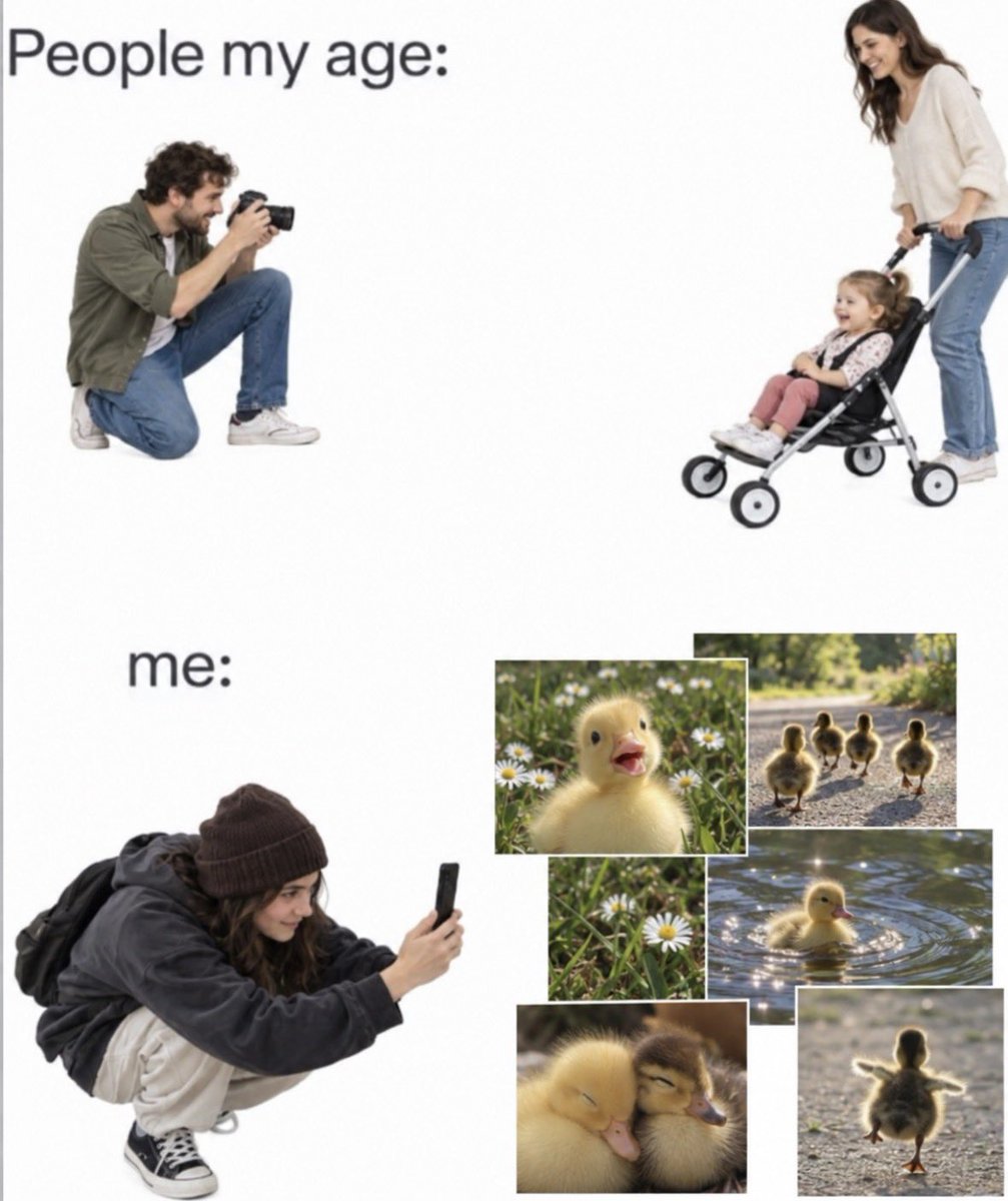 RespectfulMemes's tweet photo. https://t.co/pLtIMEXxYt