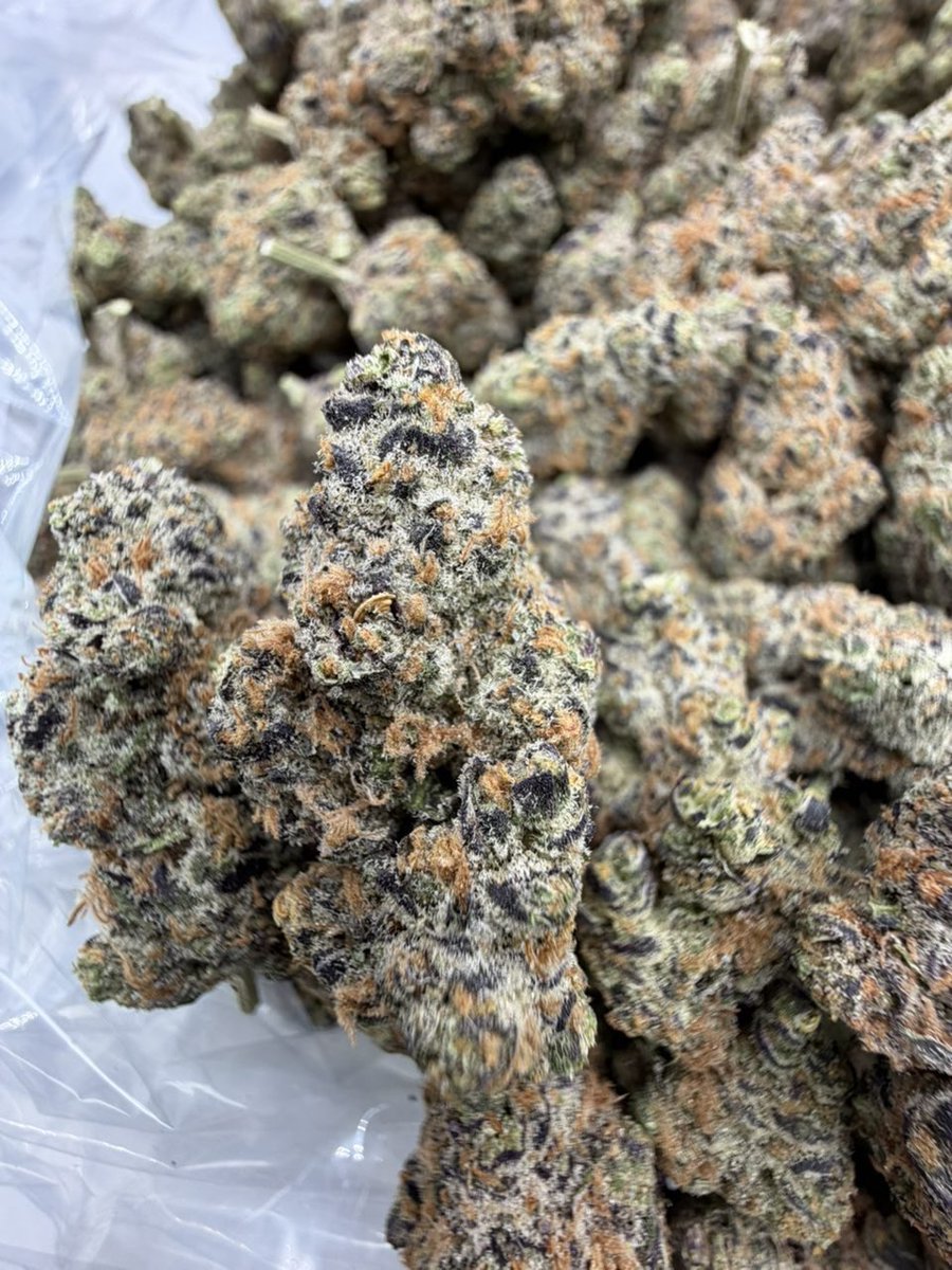 orlando_come420's tweet photo. Who Need Weed?? In Atlanta MOBILE & PICKUPS!! Get Near Pm #atlweed #atlplug #atl #atlanta #pluginatl #atlgas #atlza #atlweedman #AtlantaExotic #atlantaplug #carts #za #southside #Shrooms #collegepark #eastpoint #clayco #riverdale #Gsu #Ksu #spellman #Cau #buckhead https://t.co/2D05YUdMW1