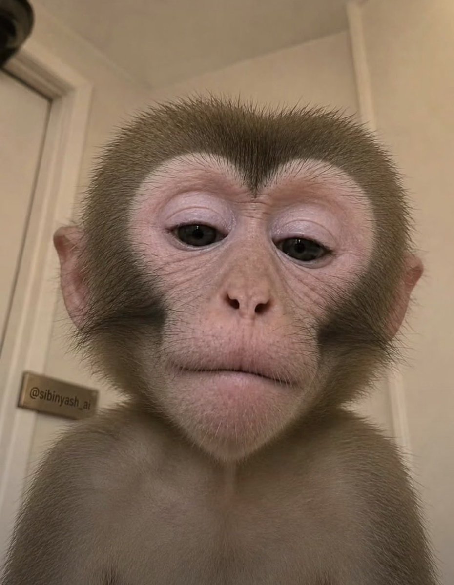 DevOracle01's tweet photo. • happy new week 

Although this are how my eyes currently looks cause I didn’t sleep all through the night 

Talk to you guys later during the day 

Need to catch a 2hrs sleep now. https://t.co/uZQE69PwUg