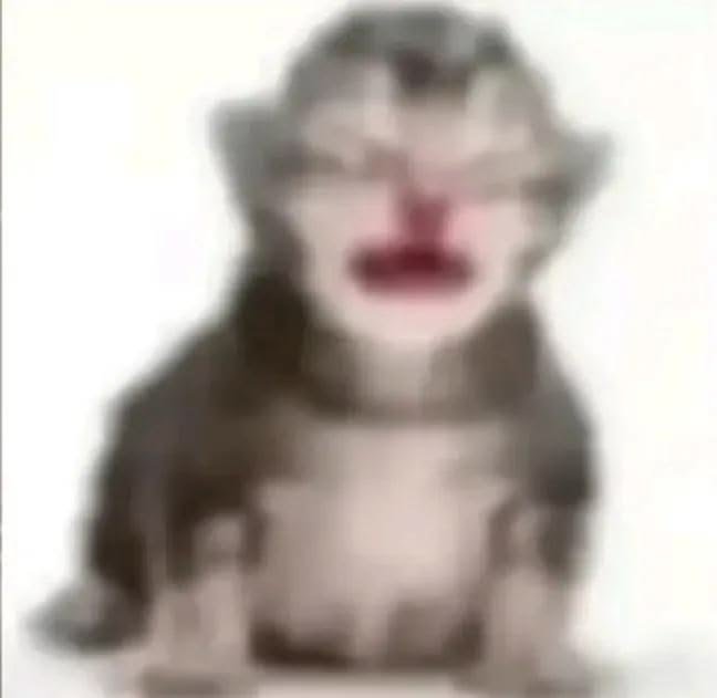 gremlin_kaii's tweet photo. O controle da TV ta sem pilha então eu tenho duas escolhas dormir no escuro e no silêncio ou dormir com a TV no volume estourado https://t.co/By7SfgrJZD