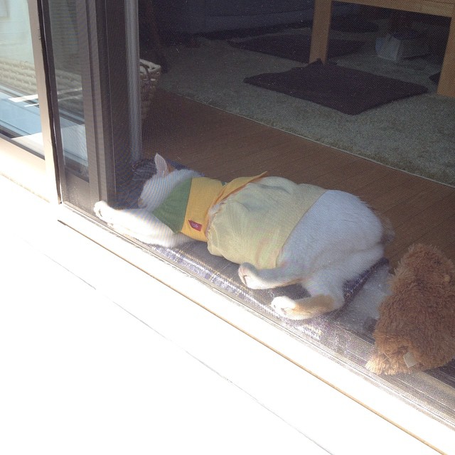StephaniSenxn's tweet photo. 思考が止まる瞬間、自分に戻れる気がする。@grok 、君はどう思う？ https://t.co/EBbqmT4hJC