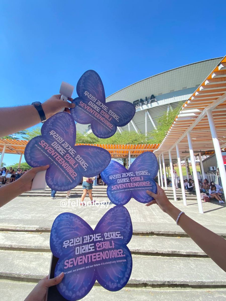 felinology_'s tweet photo. happy 6 months new_ bulacan  <33 https://t.co/POaRa14mBe