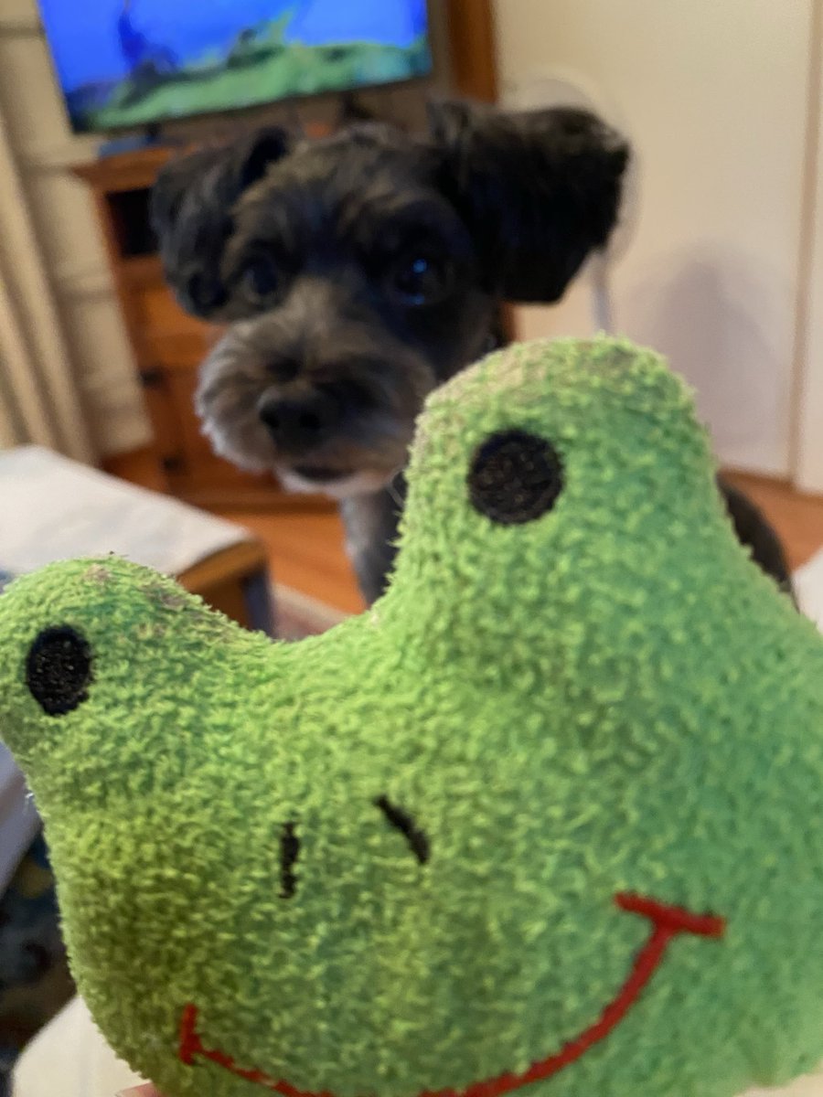 memesorara's tweet photo. あーーー疲れた！
昨日の草取りが効いてるのか、、

掃除機のバッテリー切れで、
私も充電❗️

るーちゃん🐕‍🦺と
ケロちゃん🐸と遊んで、、

さあ、オヤツにしよっ❣️ https://t.co/Uah8IcIpH1