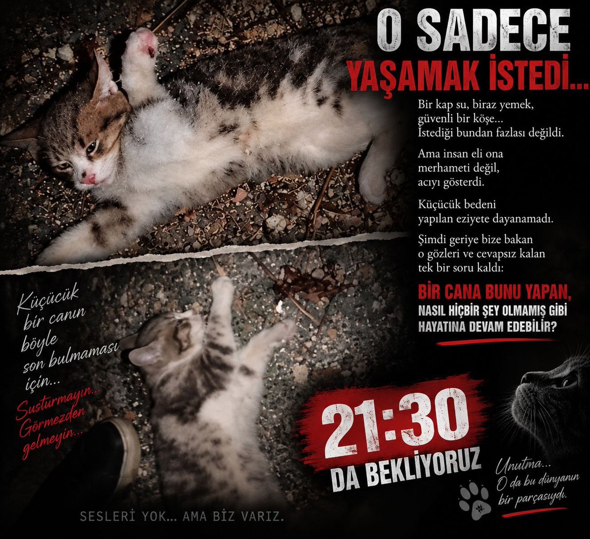 nehirhareketi_'s tweet photo. #CanlarınHesabıSorulsun 
9:30 da herkez üstüne düşeni yapsın https://t.co/gv0nVZt2dN