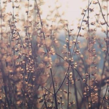 Stephan59052219's tweet photo. 🎉 🌐 🍂 🌐 🌂 💦 Stars are poetry in the sky https://t.co/f5creAL01s