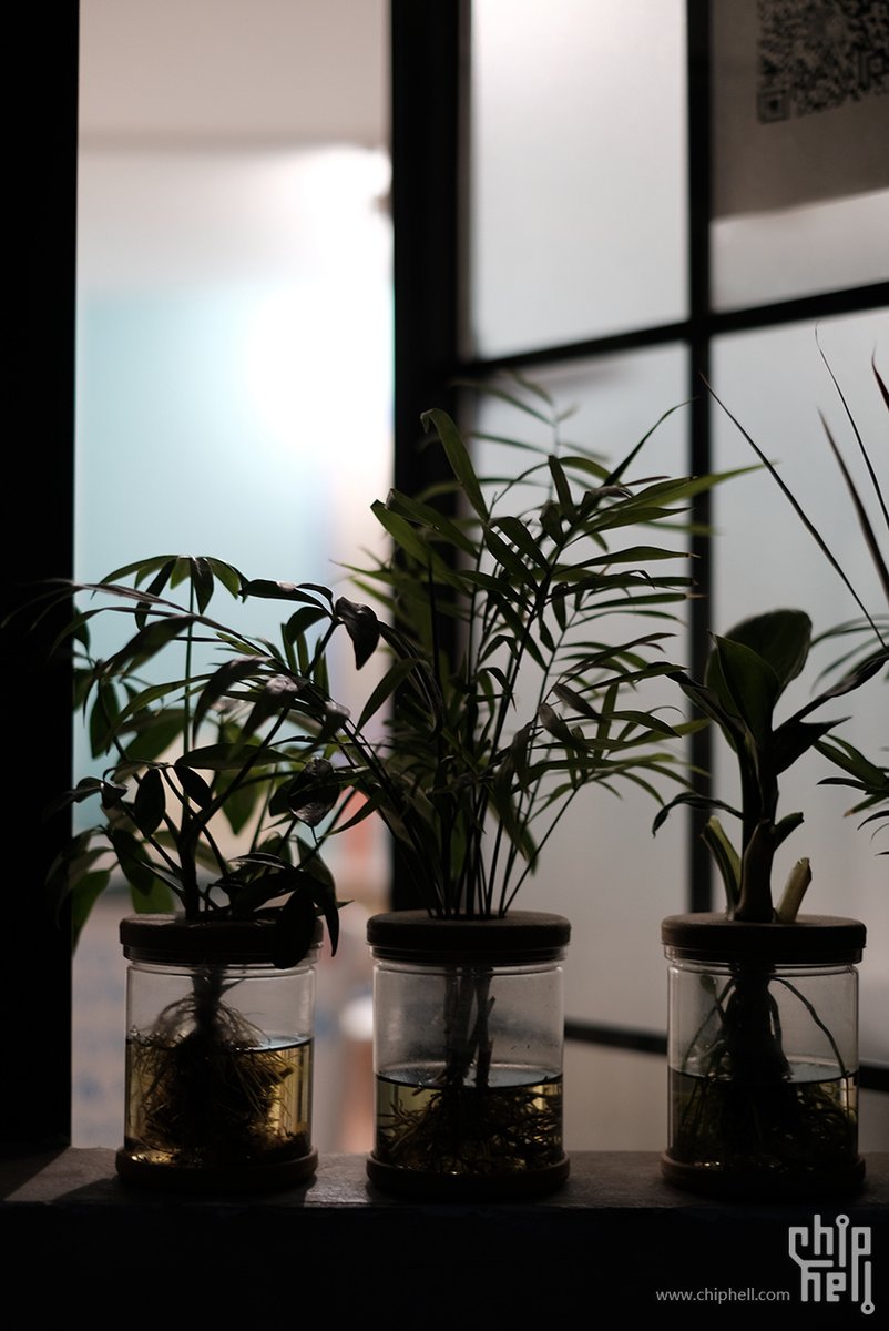 RahmatJuniard11's tweet photo. New to photography Start with these 3 tricks: shoot in natural light, keep backgrounds simple, and tap to focus. Small steps make big shots! https://t.co/Ppbx0ZHiRK
