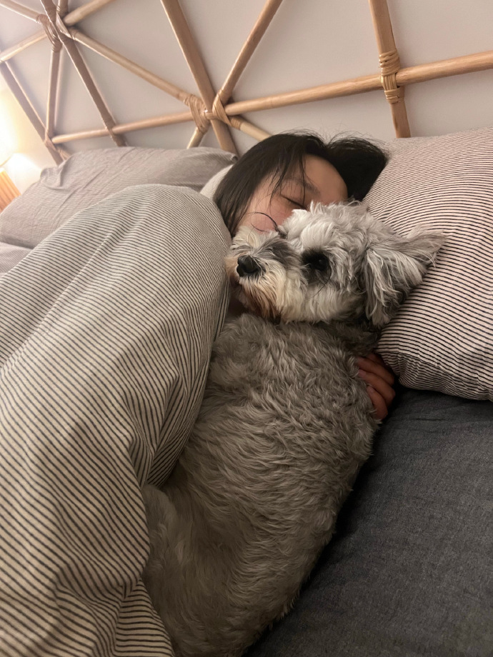 nara00243's tweet photo. My pup curled up on my lap while I worked—this little daily hug is all the mood lift I need today. https://t.co/j2O4TNARhn