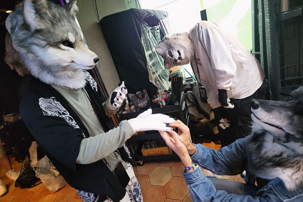 FiXer222222's tweet photo. #TG02 
本日は！

📷@furry_gray_fox https://t.co/ZhfOpfKYrM
