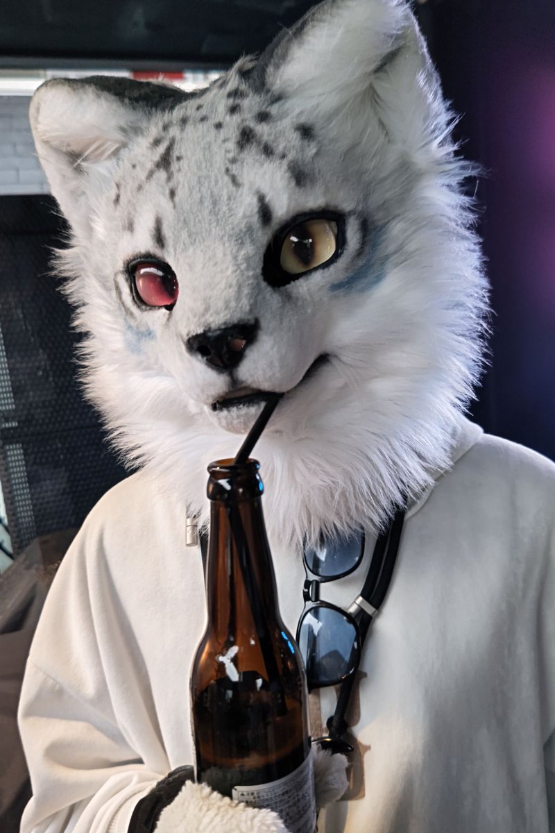 FiXer222222's tweet photo. #TG02 
本日は！

📷@furry_gray_fox https://t.co/ZhfOpfKYrM