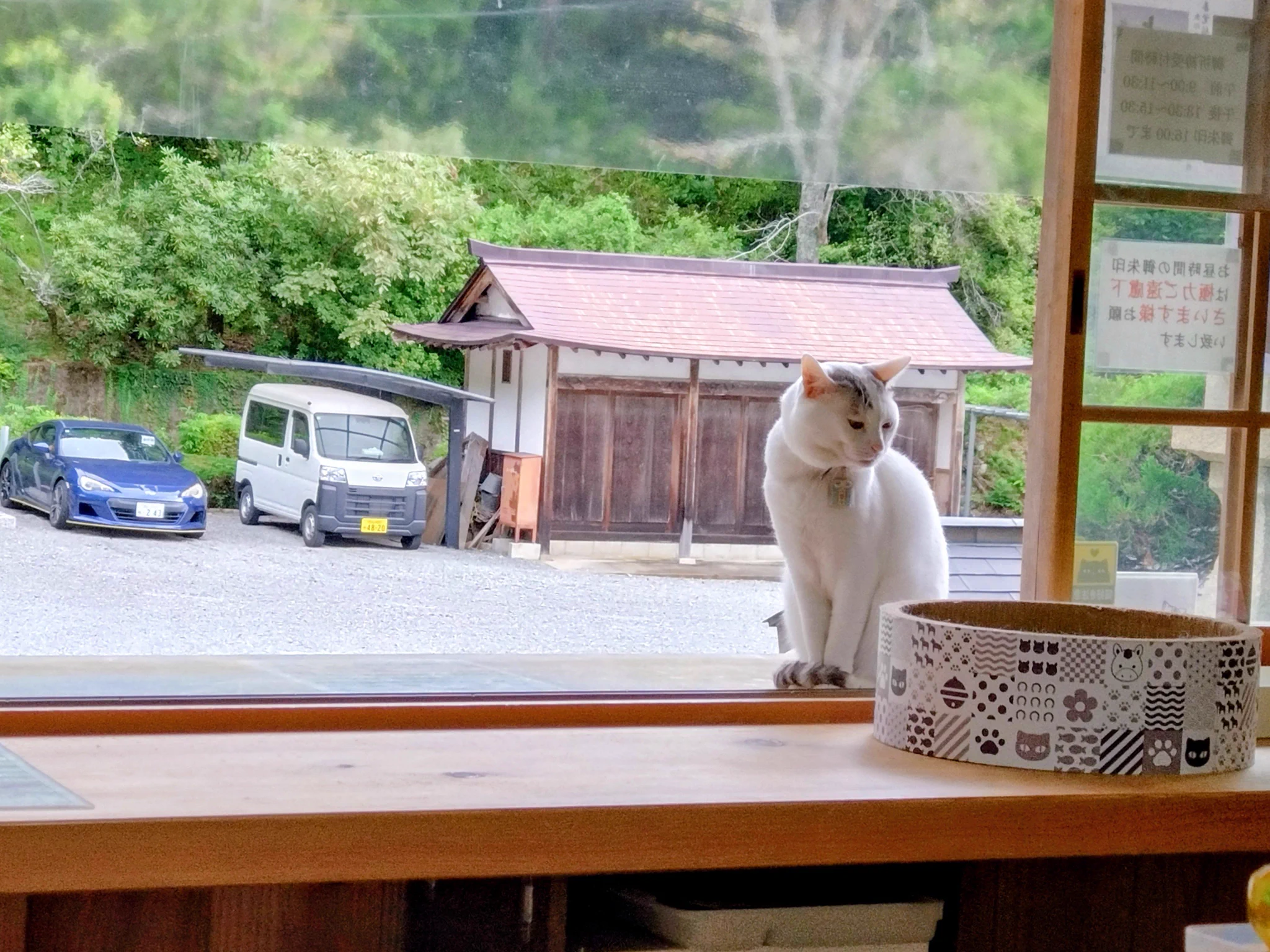 ひゃん様確認ページ 木山神社の招き猫 テン on X: 