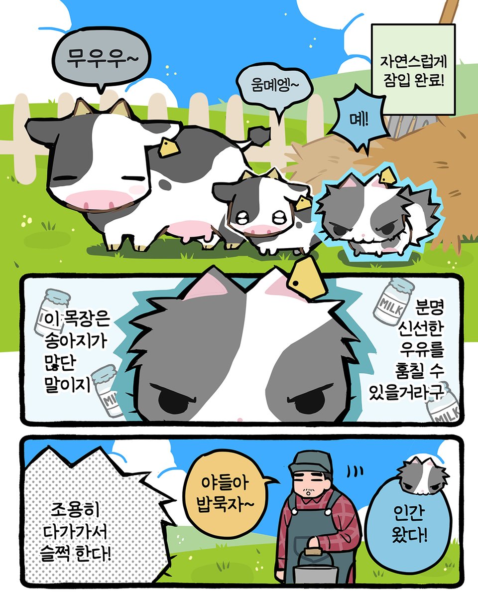 bunhong_tummy's tweet photo. 젖소 고양이 🥛🐱
(4/5) https://t.co/Lfc8hGDePj