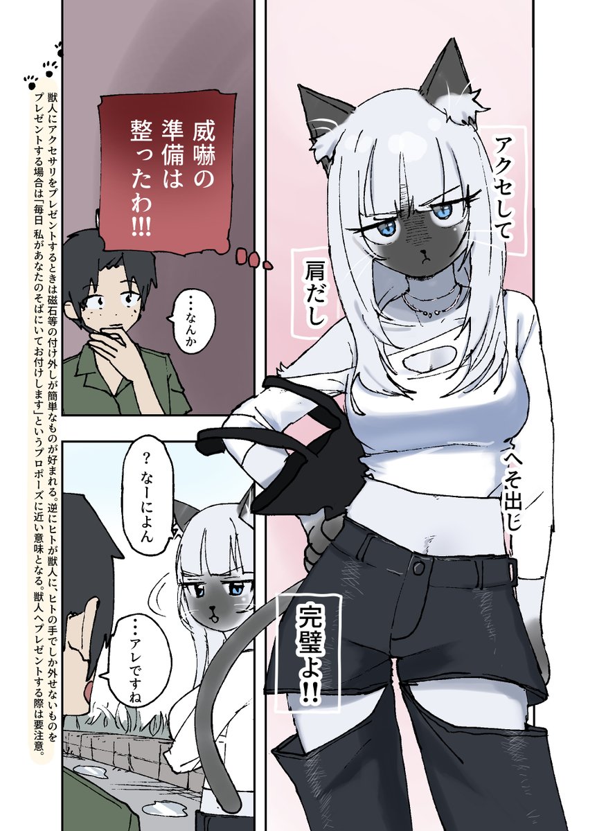 coffee_poli's tweet photo. 恋敵を威嚇しに行く猫先輩【1/2】 https://t.co/wYGwNIcQ2u