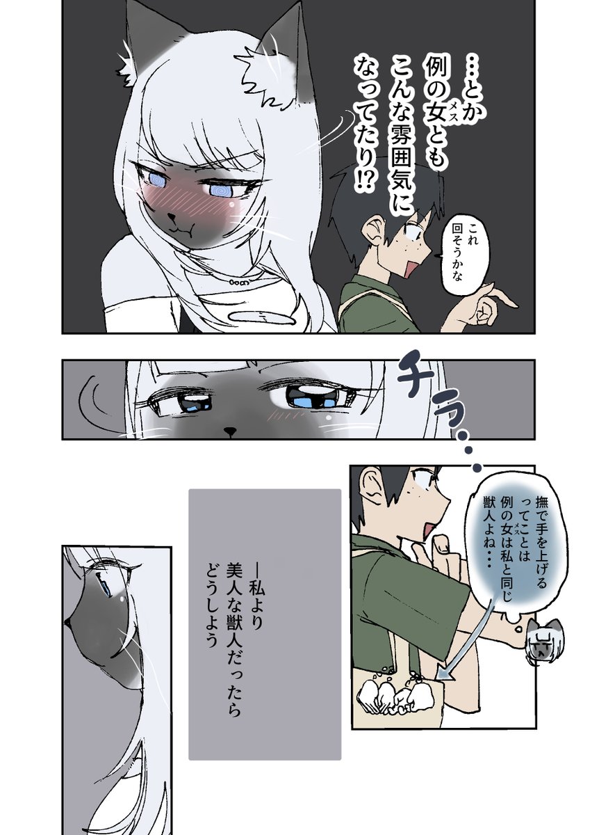 coffee_poli's tweet photo. 恋敵を威嚇しに行く猫先輩【2/2】 https://t.co/tm88N0idvF