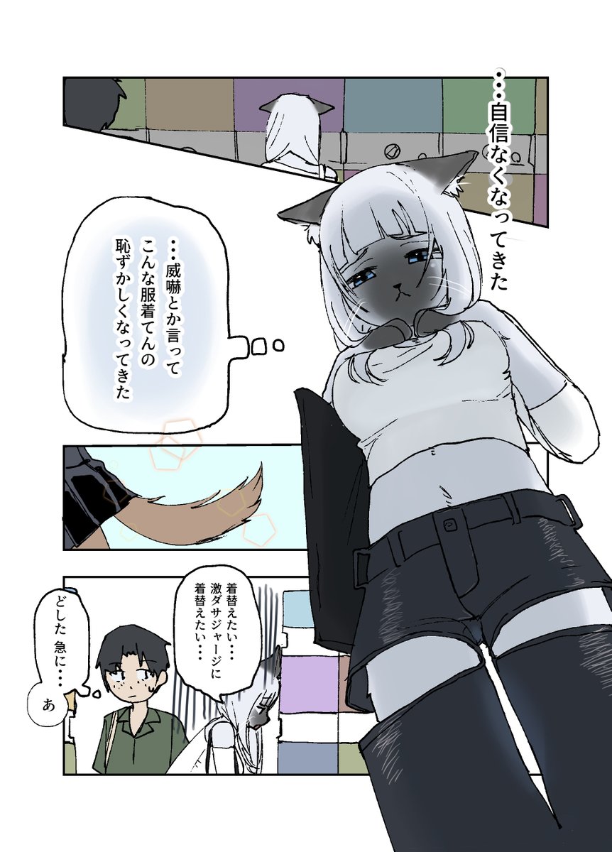 coffee_poli's tweet photo. 恋敵を威嚇しに行く猫先輩【2/2】 https://t.co/tm88N0idvF